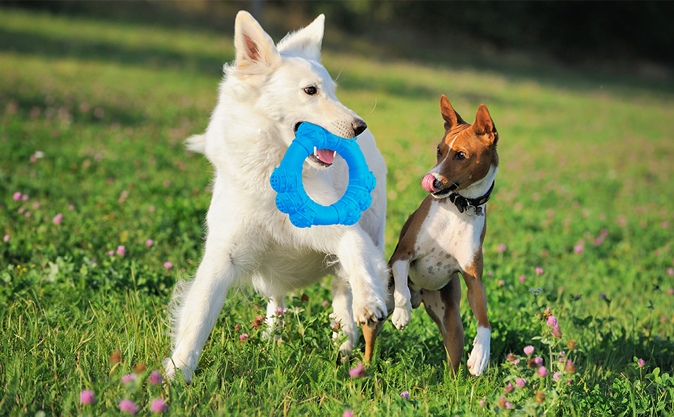 dog chew rings toys for aggressive chewers