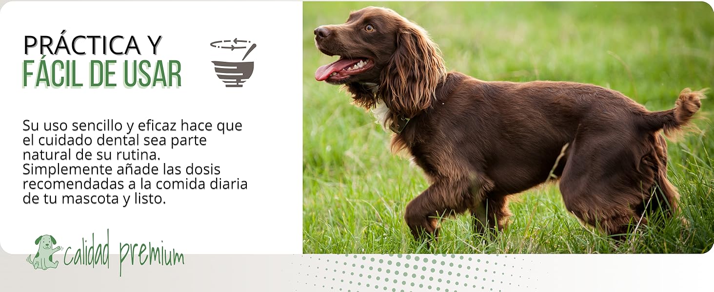 Smilecare is practical to use