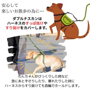 犬も歩けばわしも歩く様★専用になります★プラチナダブル糖質０＋のどごしZERO 犬も歩けばわしも歩く様☆専用になります☆プラチナダブル