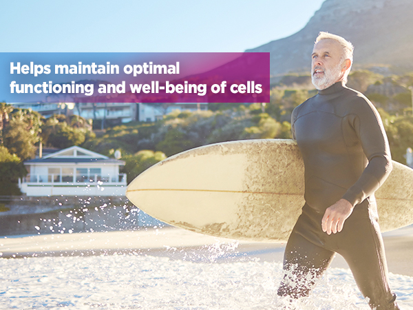 livingood daily energy support endurance immune booster adrenal men women focus