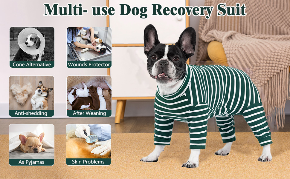 dog body suit recovery