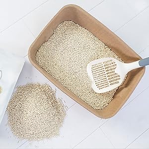 Disposable Cat Litter Box Paper Cat Litter Tray Pet Travel Small Animal Clean Sifting Potty