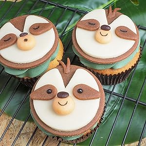 Maroon Brown fondant FunCakes