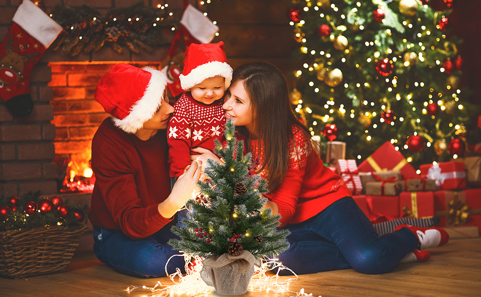 MEETYAMOR 2 FT Mini Christmas Tree, 24" PE Prelit Small