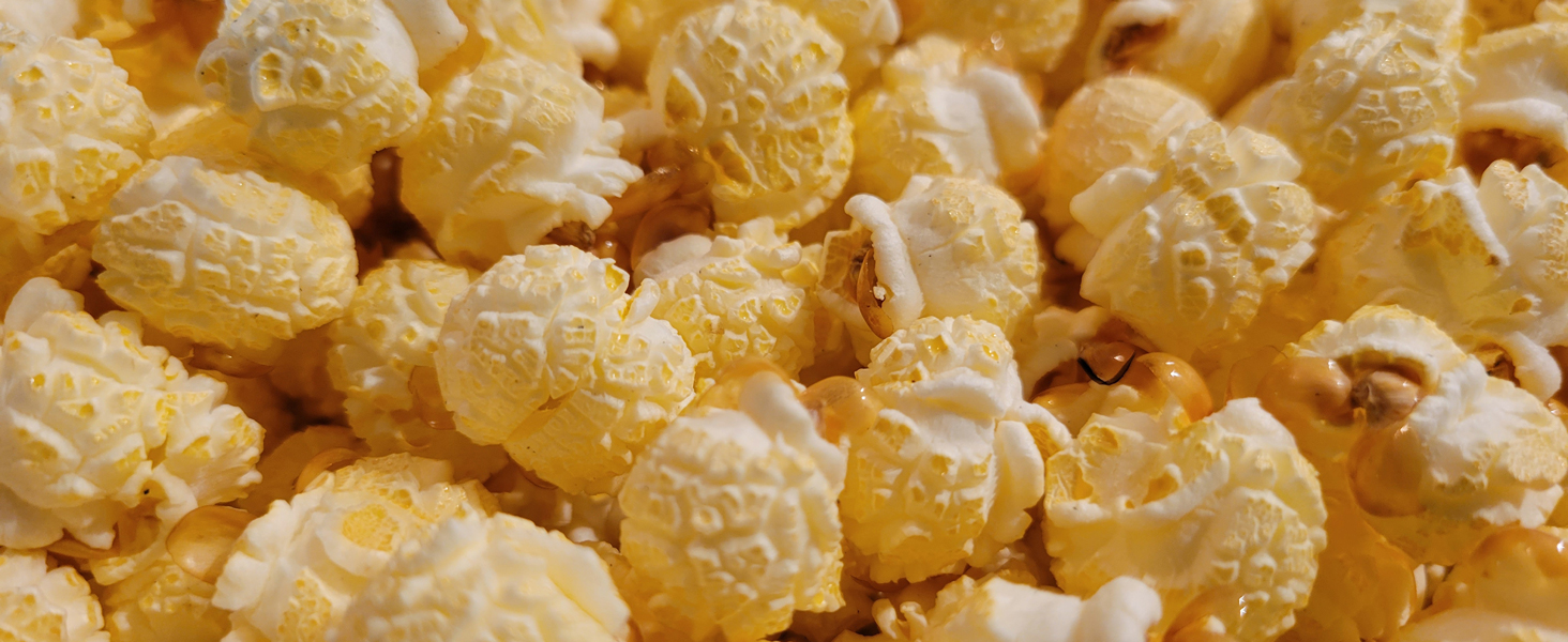 Mushroom Popcorn Kernels by Princeton Popcorn Farmer