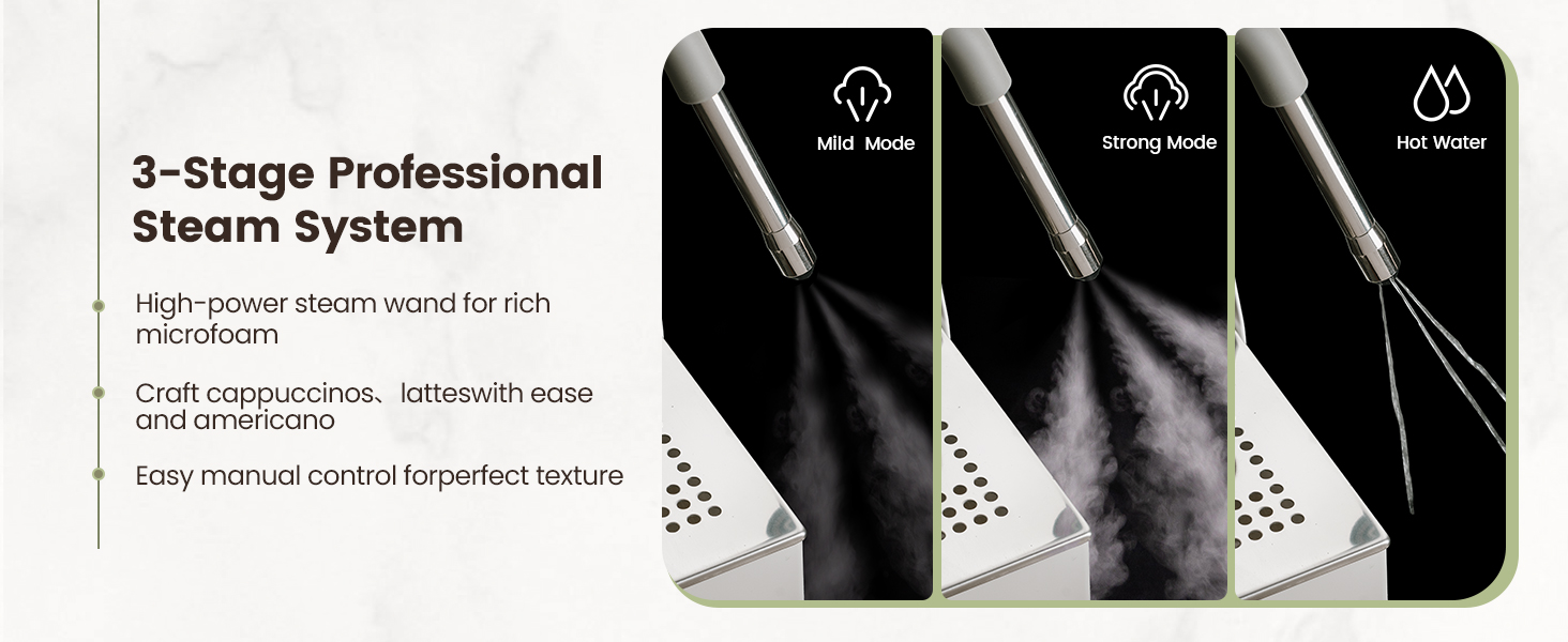 3-Stage ProfessionalSteam System