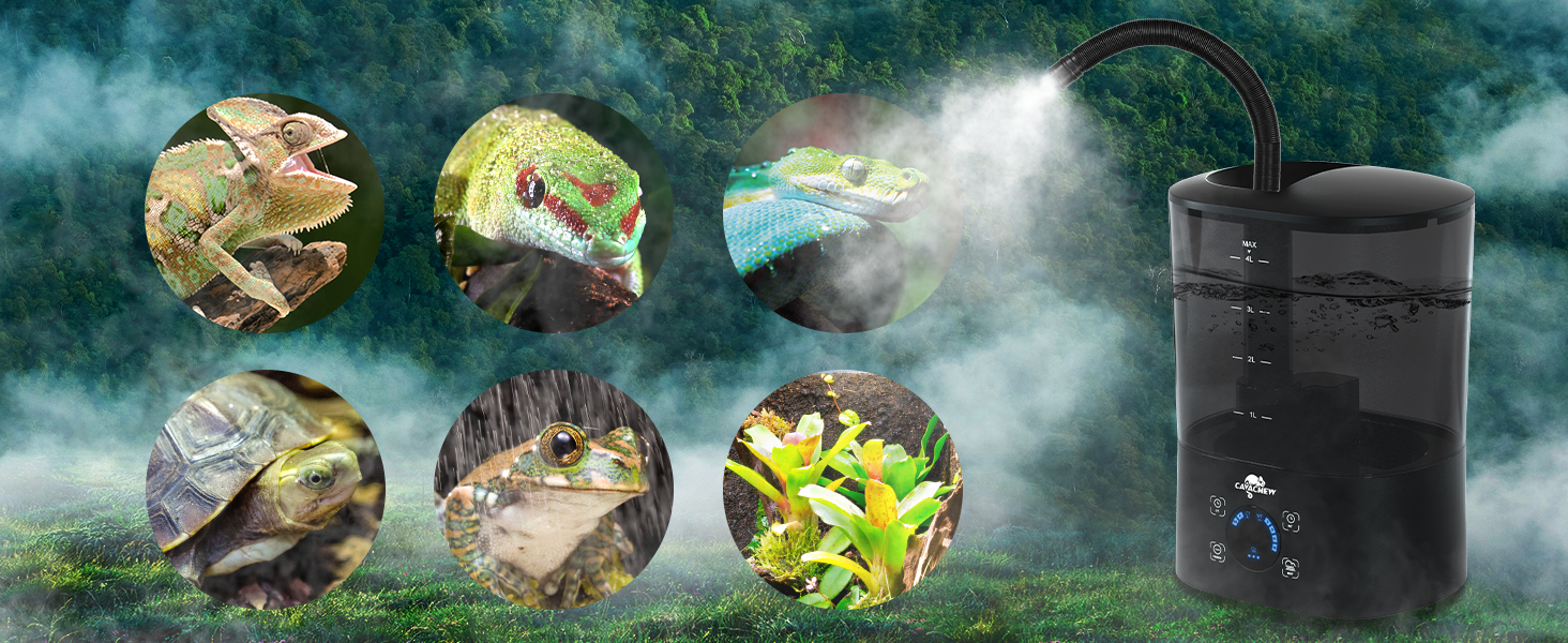 snake humidifier