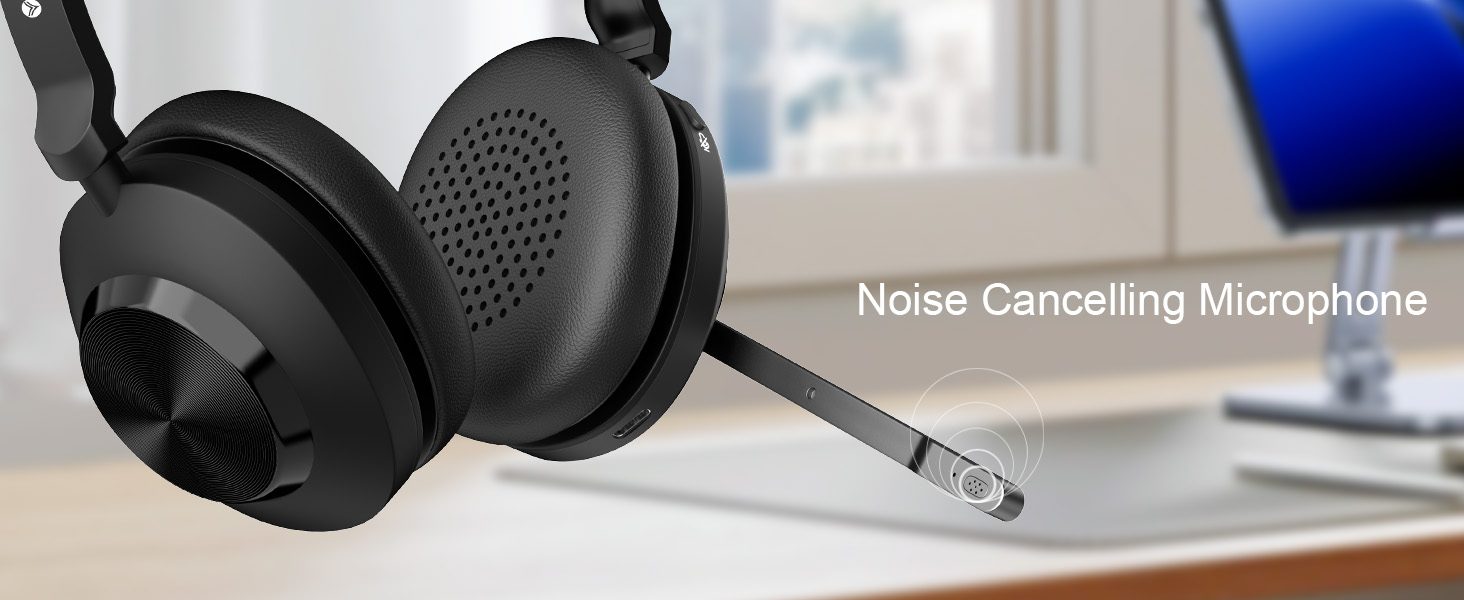 noise cancelling microphone