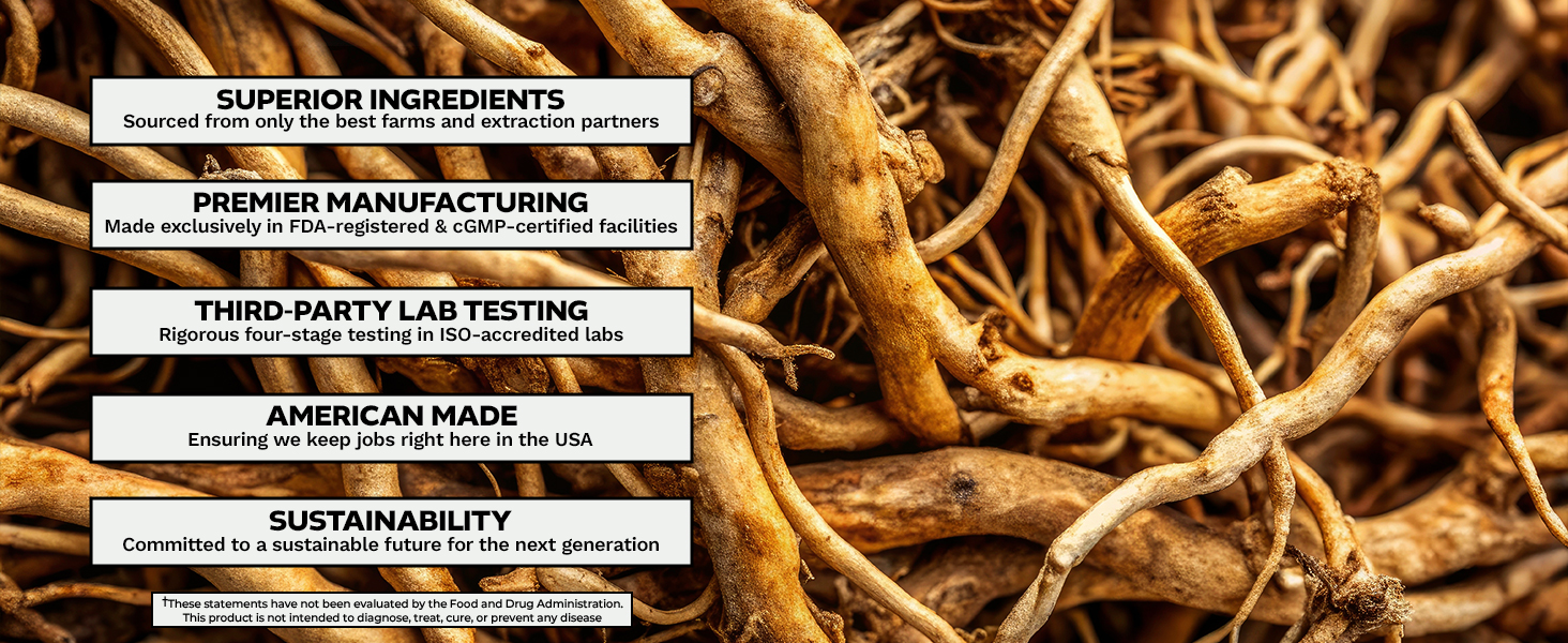 Large manufacture image 7