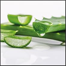 ALOE (Aloe Vera)