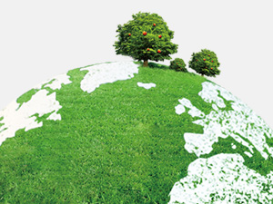 HOMEXCEL Laundry Sheets