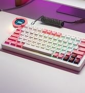 DRY STUDIO Battleye 74.5 RT HE Magnetic Wired Gaming Keyboard with Mechanical Feel Full Metal Alu...
