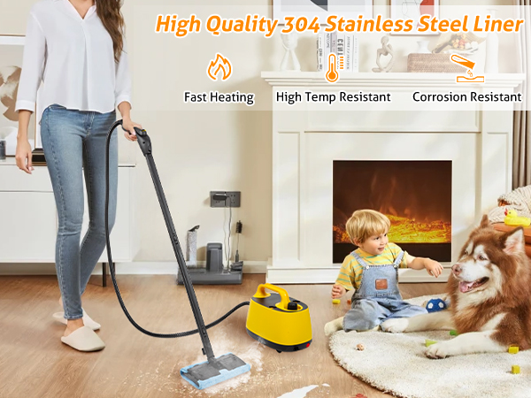 High Pressure Steam Cleaner
