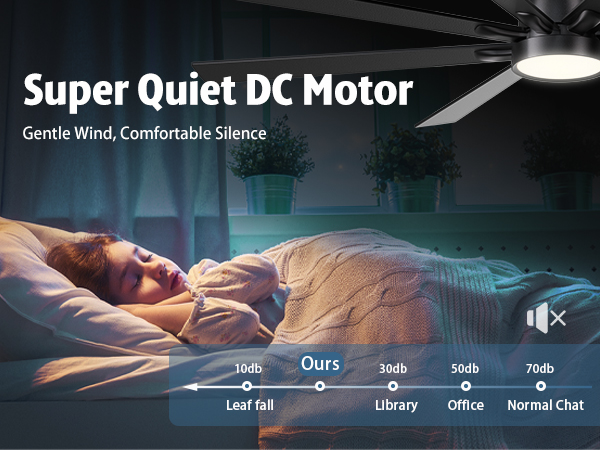 ceiling fan with light