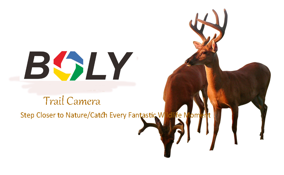 trail camera