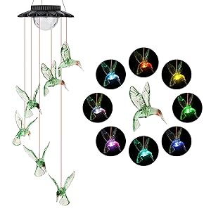 solar powered lights