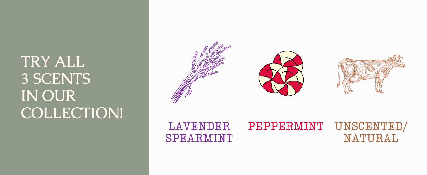 tallow lip balm collection