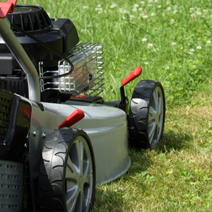 Small manufacture image 3