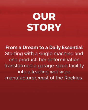 Diamond Wipes Your Everyday Wipes