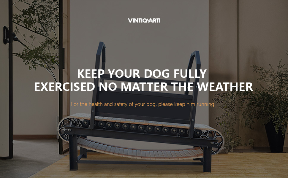 Dog Treadmill for Medium/Large Dogs Sturdy Carbon Steel
