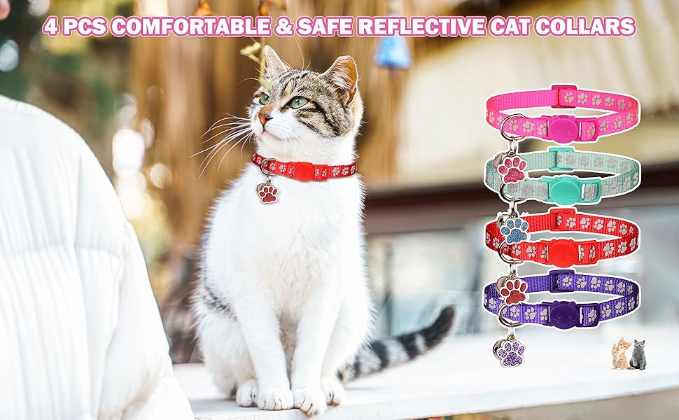 Kitten Collars
