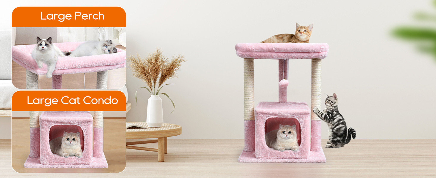 cat tree