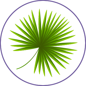 Saw Palmetto Extract