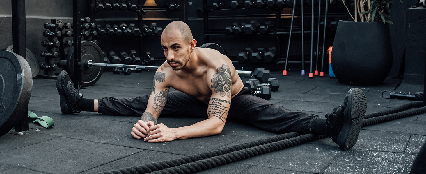 beta ecdysterone supplements