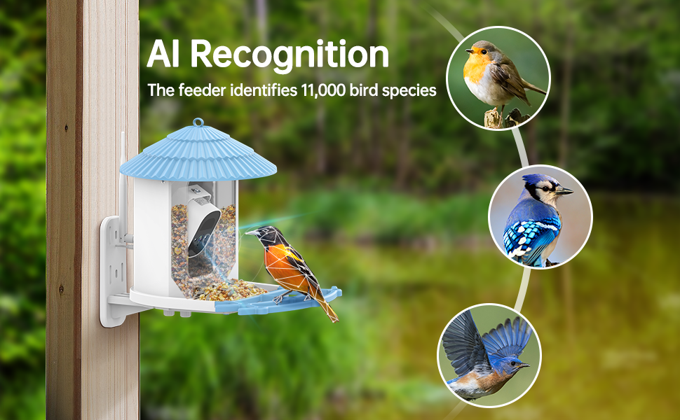 pumpkii Smart Bird Feeder with Camera, 2.5K HD Camera with