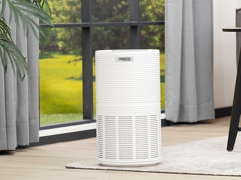 air purifier