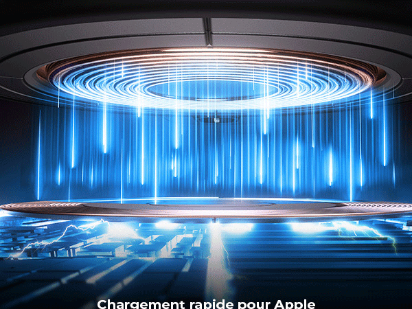 Support Telephone Voiture Induction