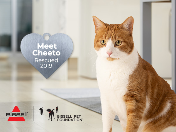 BISSELL Pet Foundation