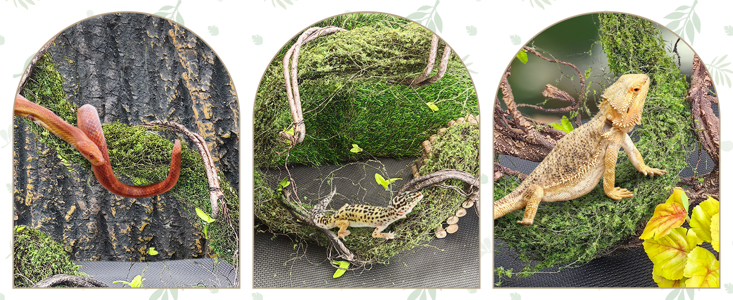 bearded dragon vines for climbing bearded dragon tank vines bearded dragon tank climbing vines