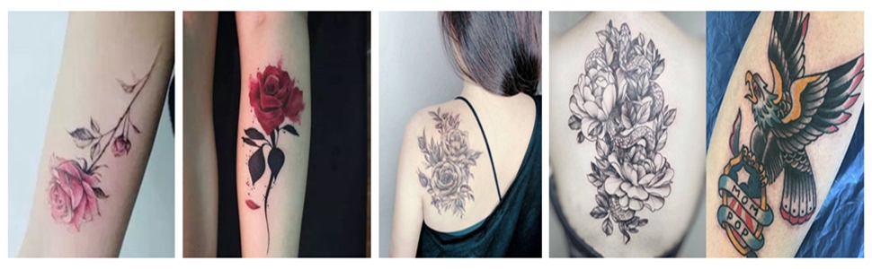 tattoo Needles and Tubes Combo