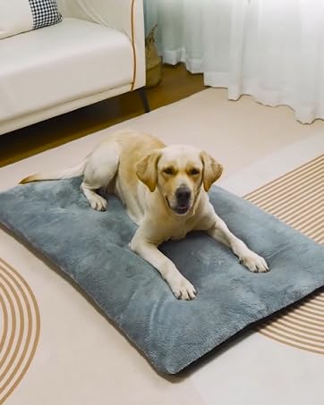 dog pad