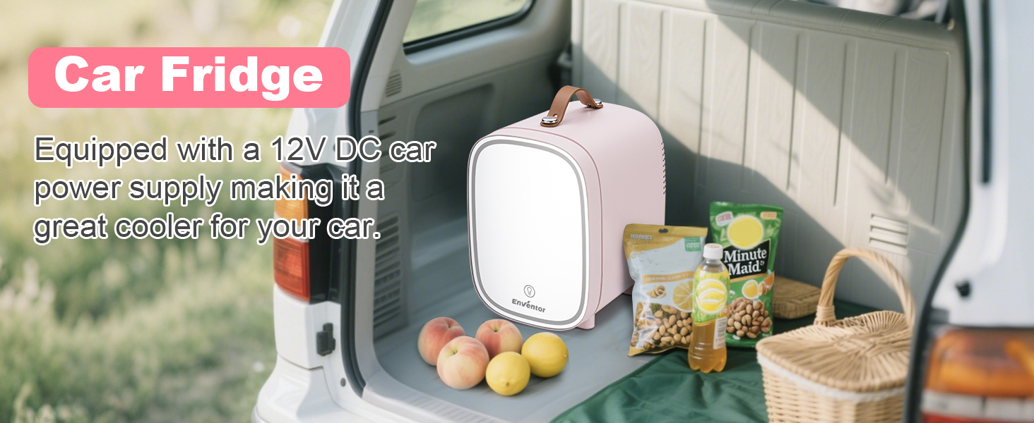 Mini Fridge