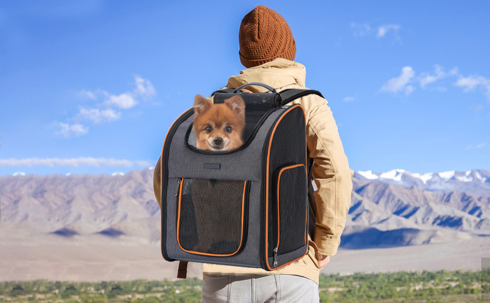 Cat Backpack Carrier, Airline Approved Dog Backpack