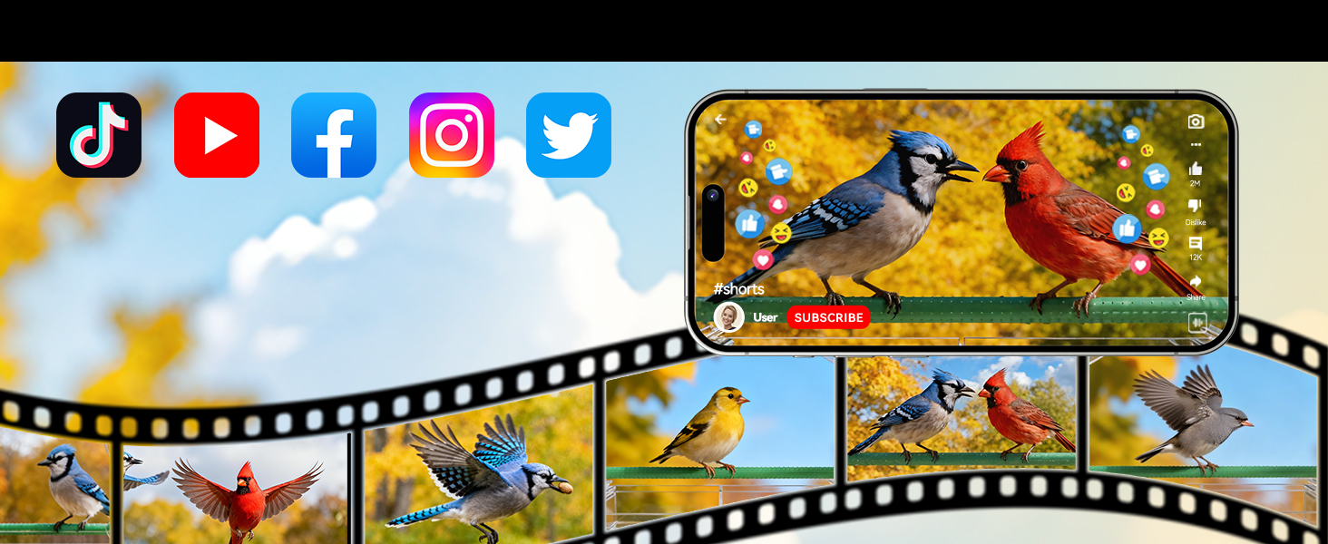 bird feeder window、bird camera、wild bird feeders、bird feeder for window、bird camera feeder