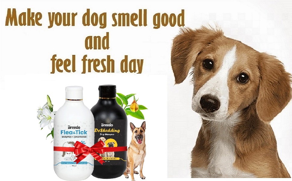 Buy Breedo Dog Shampoo Ditch to Itch & Dog Anti Dandruff Shampoo