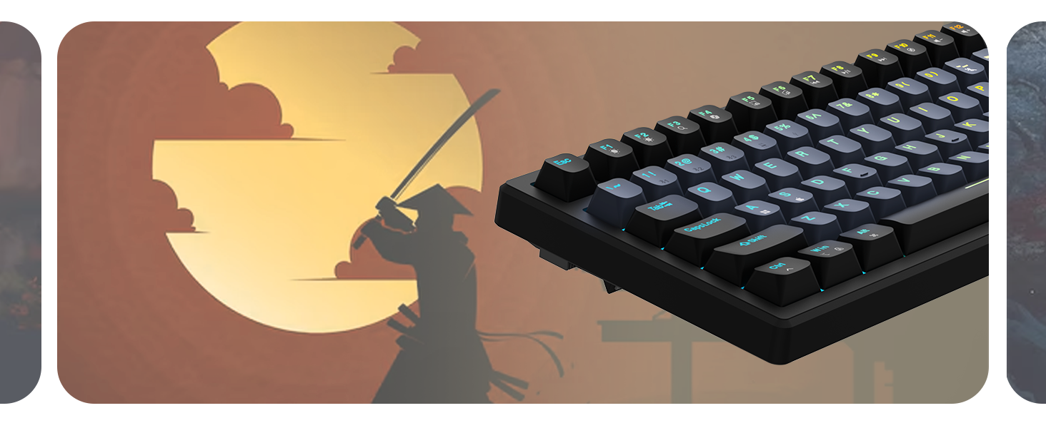 EvoFox Ronin Wireless TKL Mechanical Keyboard