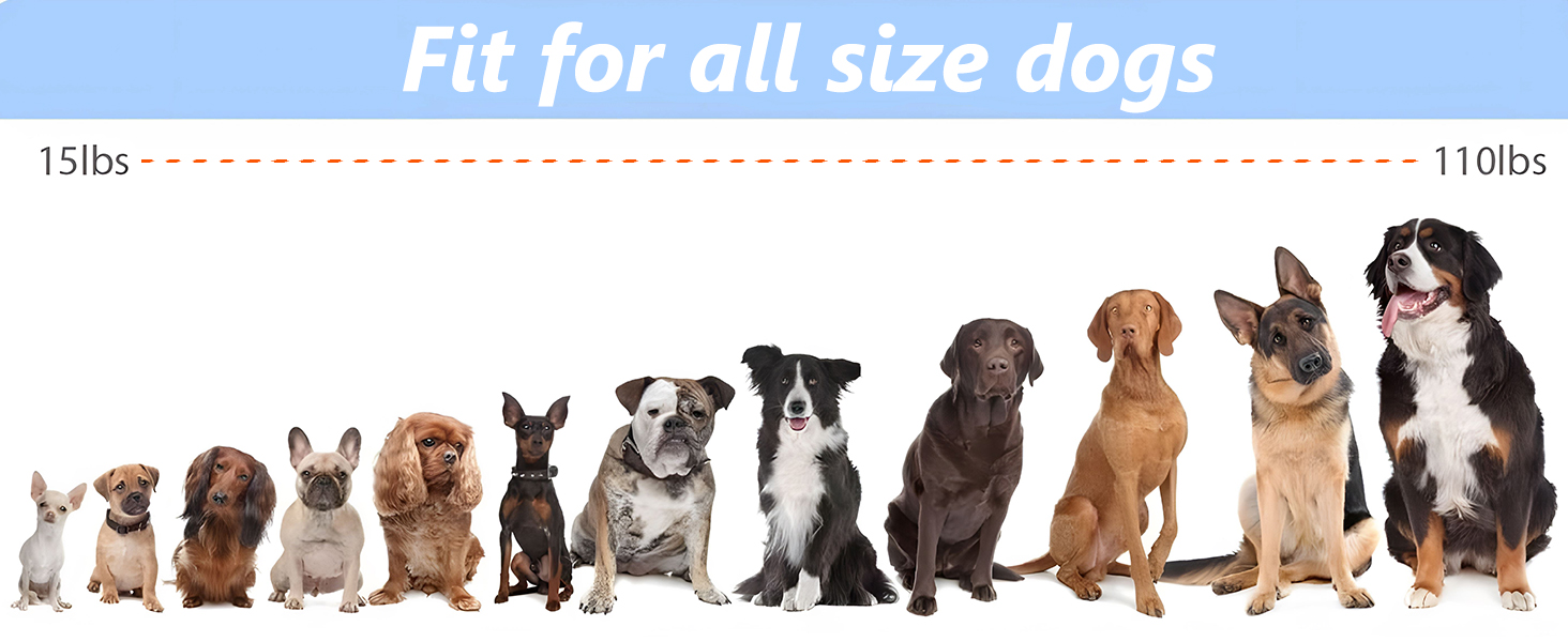 dremel diamond nail grinder bit for dog