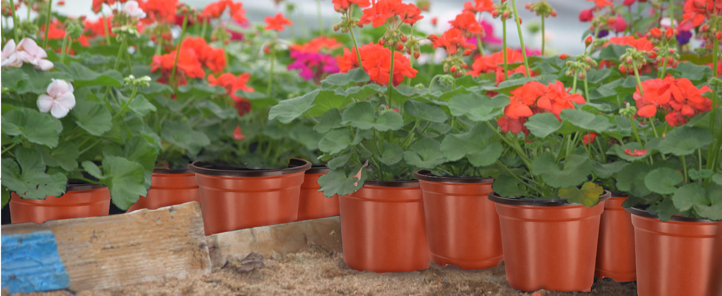 Flower Nursering 