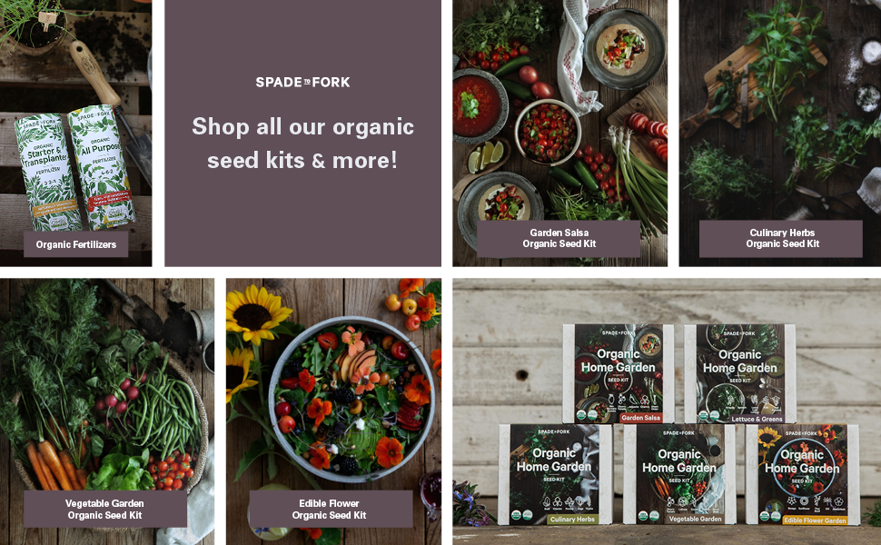 Shop all our organic seed kits and more!