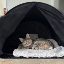 anxiety gifts night shift workers smart nodpod top bunk teen black girls adults best womens