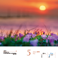 5月　夕陽の浜／千葉県