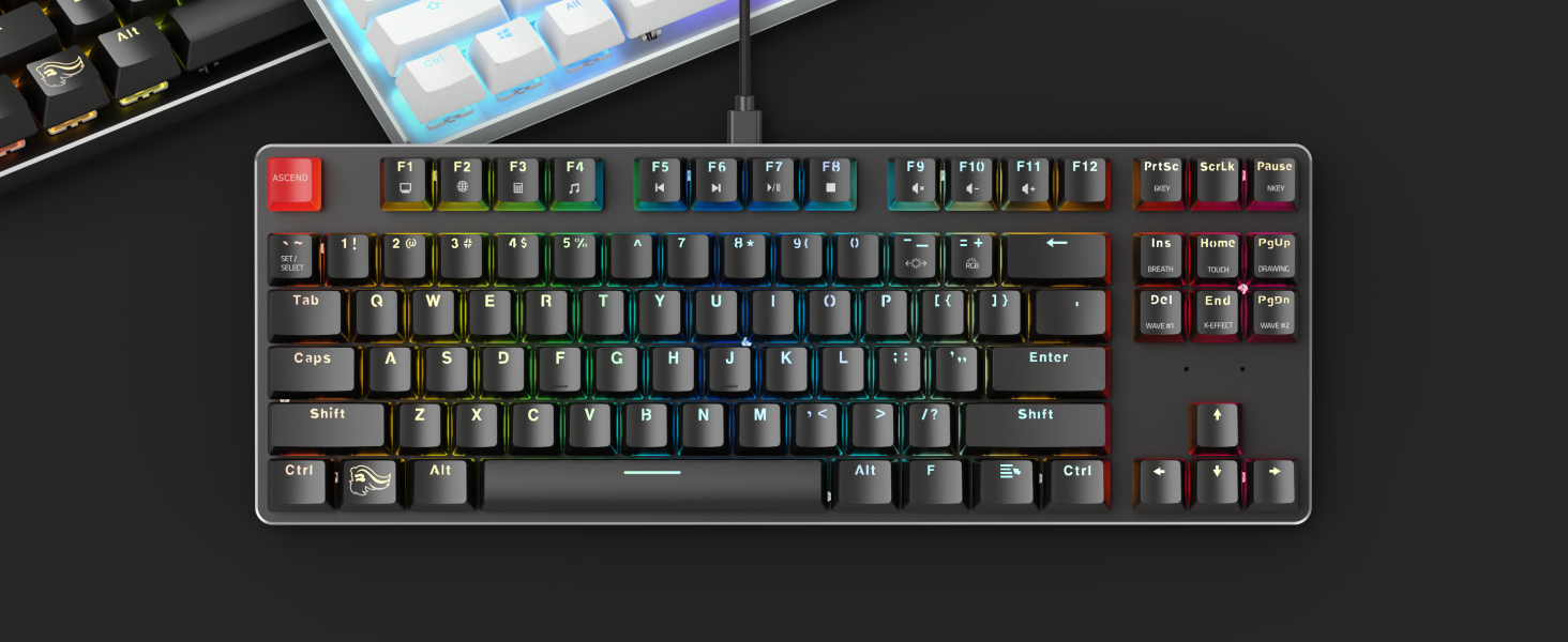Glorious Gaming GMMK, Mechanisches Gaming-Keyboard, Gateron Brown Schalter, Doubleshot-Kappen