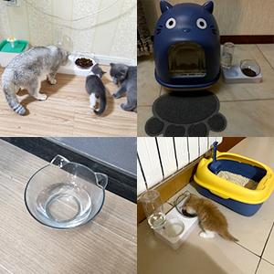 Collage of four images showing different pet accessories: a cat toy, a blue owl-shaped pet feeder, a water bowl, and a yellow automatic pet feeder.