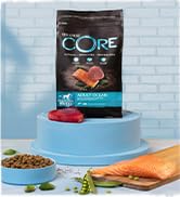 Wellness CORE Ocean dry dog food