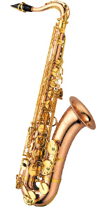 Amazon.co.jp: YANAGISAWA T-WO10 初心者セット テナーサックス