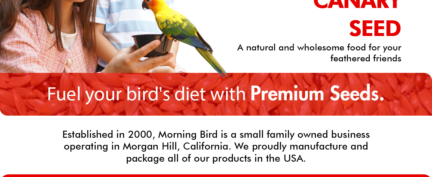 Canary seed for birds